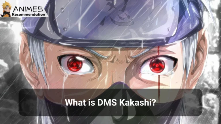 What is DMS Kakashi?